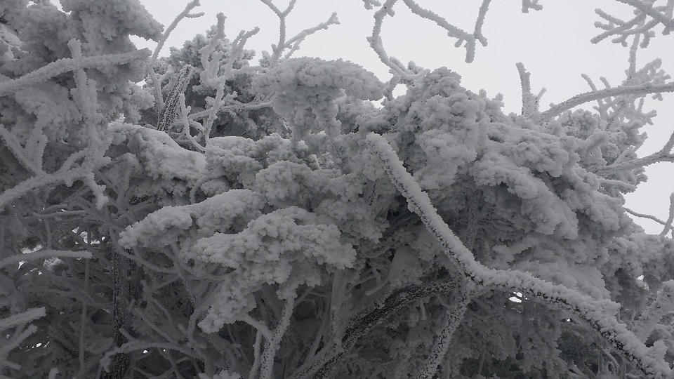 Deogyusan mountains is covered by snow in winter,South Korea