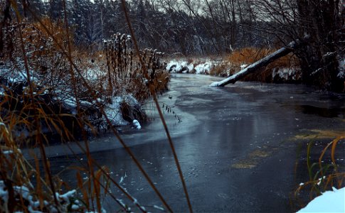 Frozen creek photo