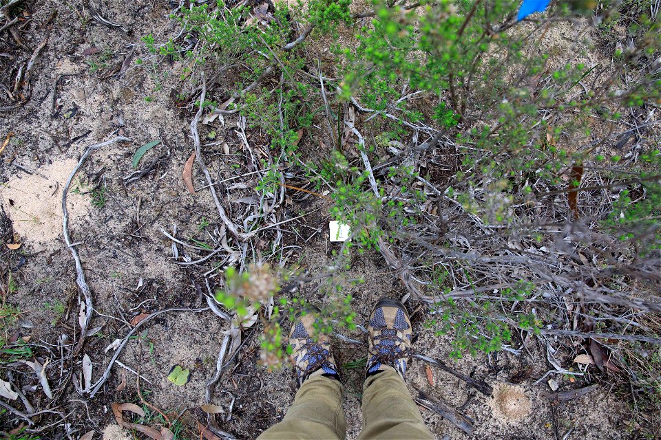 2022 Site 2 Ground photo 1
