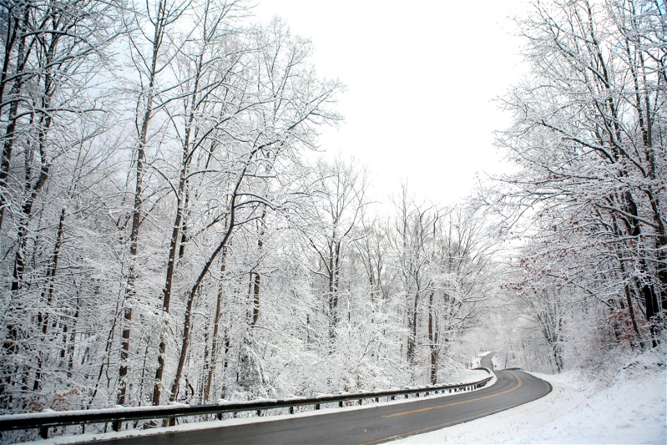 Snow in the Wayne National Forest