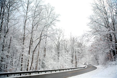 Snow in the Wayne National Forest photo