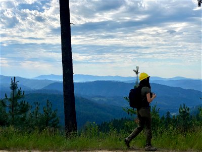 NSW22FieldTripOverlookCassidyMotahariPhotography-IPNF-001.jpeg