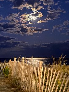 Moonlight over Rehoboth Beach photo