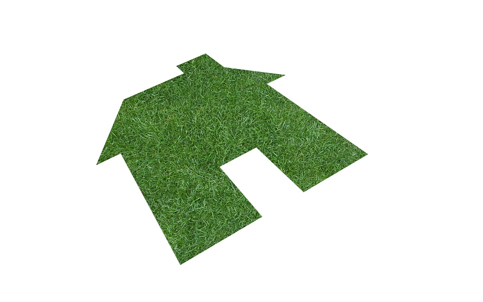 Lawn in the form of house