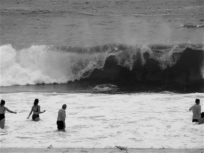 Coogee Seaside XII