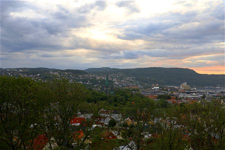 IMG_3445