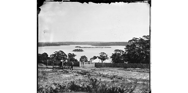 Snapper (foreground) and Spectacle Islands from Balmain c. 1870