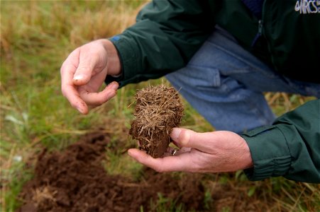 Ground cover and litter creates organic matter, which is an important part of soil and rangeland health. photo