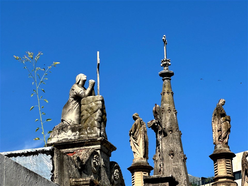 View at La Recoleta
