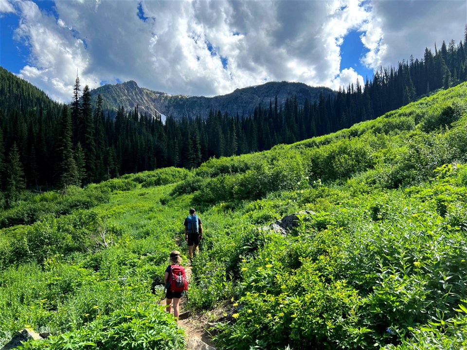 CliffLakeTrail-LoloNationalForest-001
