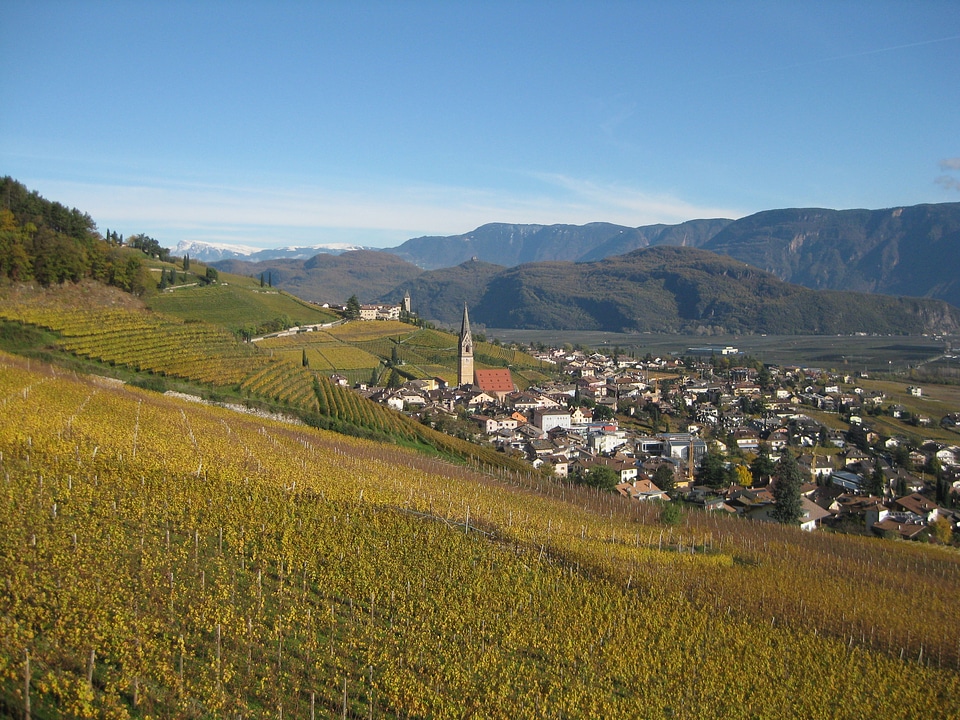 famous Wine Village of Tramin at south tyrolean photo