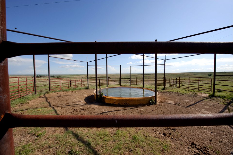 Livestock waterstorage facility in rotational grazing system in Gray County near Pampa, Texas.