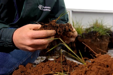 Soil Scientist Nathan Haile examines soil condition in soil samples taken in the pasture. photo