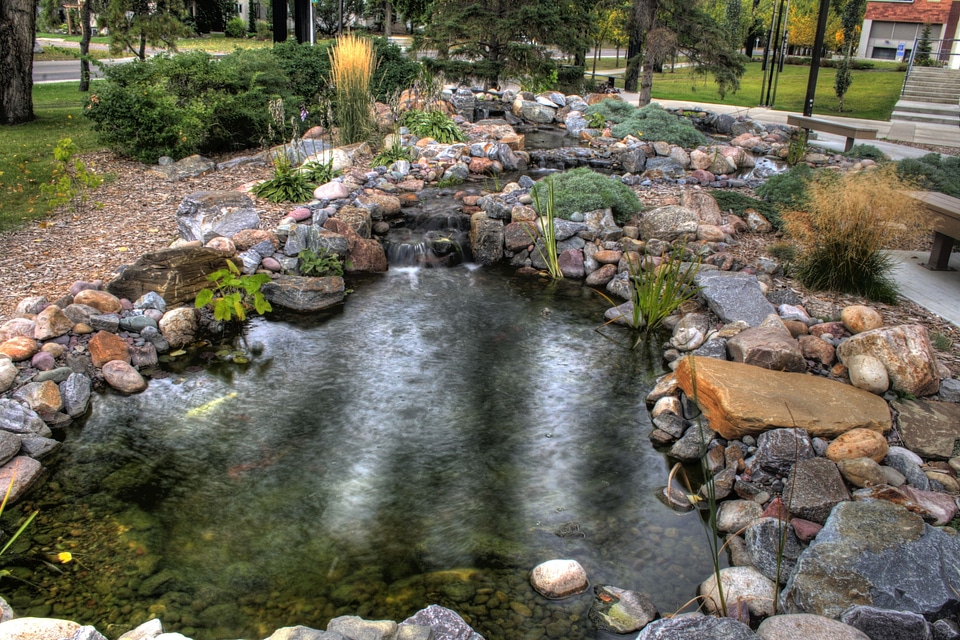 Pool in rock garden on Edmonton
