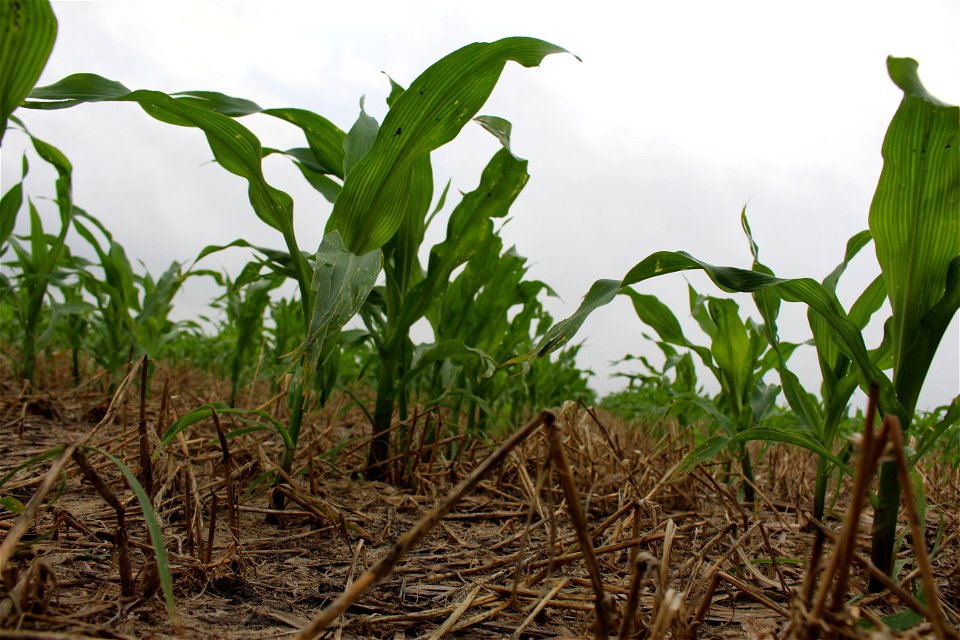 Victoria Soil Health Workshop  (3)