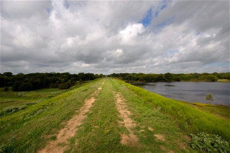_DSC5018
