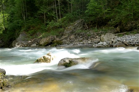 IMG_7041