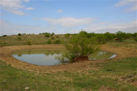 Stock ponds are vital for livestock to survive at Stasney's Cook Ranch in Albany, Texas.