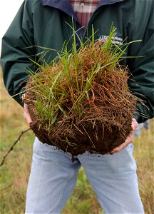 Lem Creswell holds a piece of soil with good ground cover and organic matter, which is an important part of soil and rangeland health.