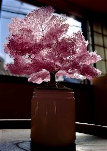 桜の模型№,18 photo