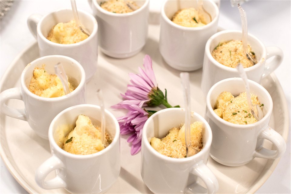 Shrimp Alfredo Demi Cup