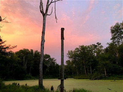 2021 Photo Contest_41