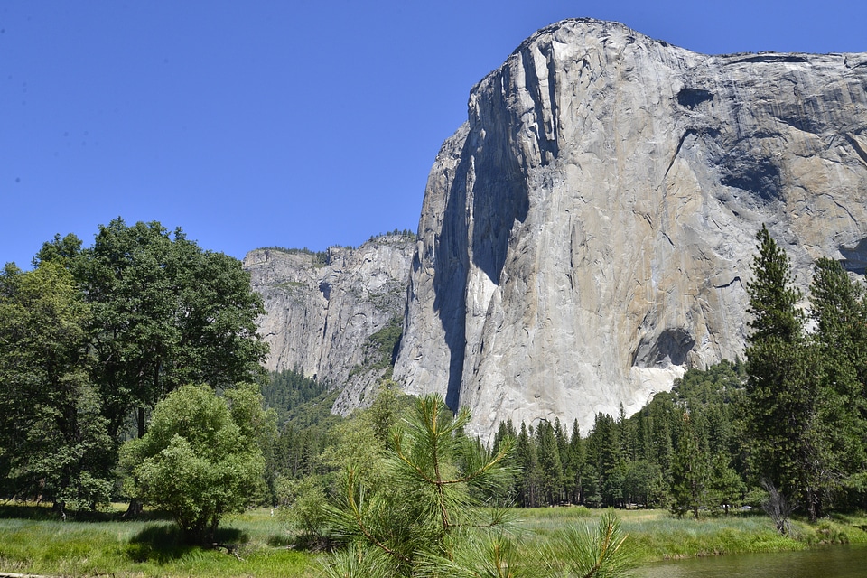 National forest america photo