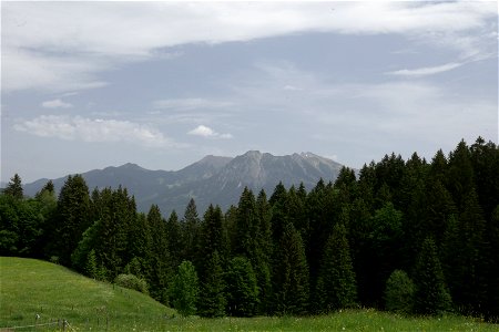 IMG_7042