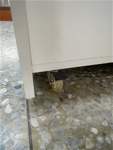 DSCN9644