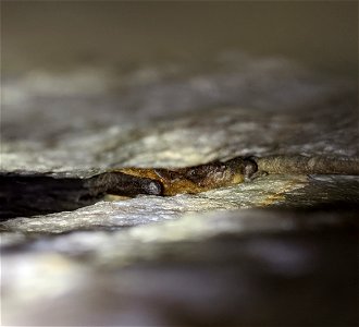 2021 Photo Contest_07
