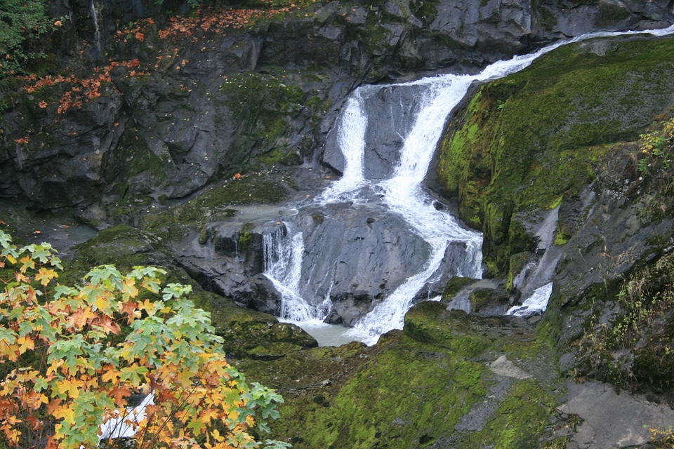 Elwha dam Olympic National Park