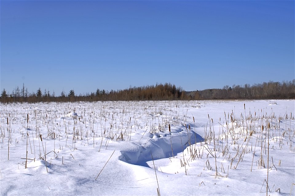 Winter At Mere Blue Marsh photo