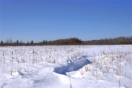 Winter At Mere Blue Marsh