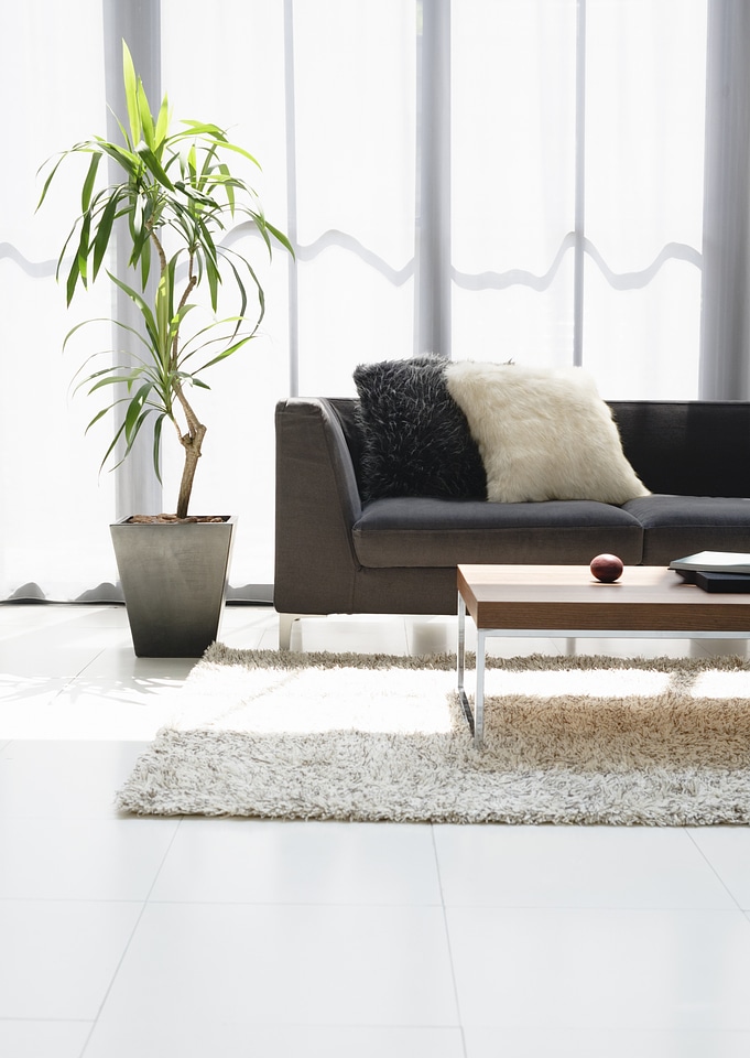 Modern living room design sofa lamp tree and curtain