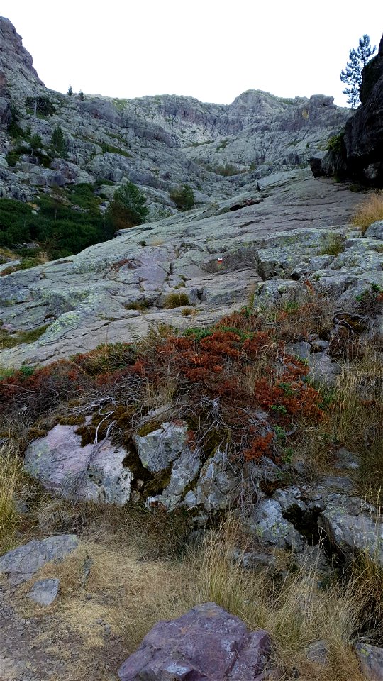 GR 20 Nord Sud Etape 3 Carrozu - Asco