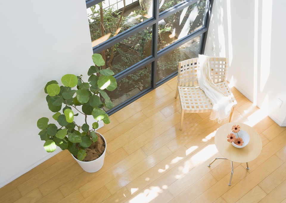 Modern living room with wood floor