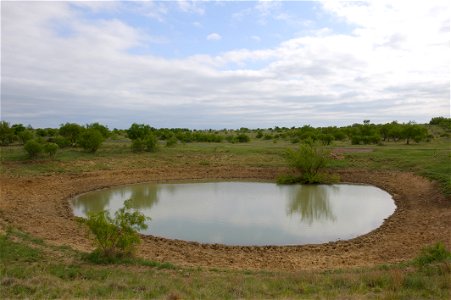 Stock ponds are vital for livestock to survive at Stasney's Cook Ranch in Albany, Texas.