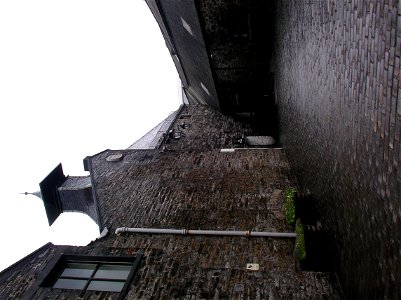 IMGP1367