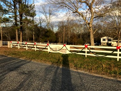Christmas Steelers Fence