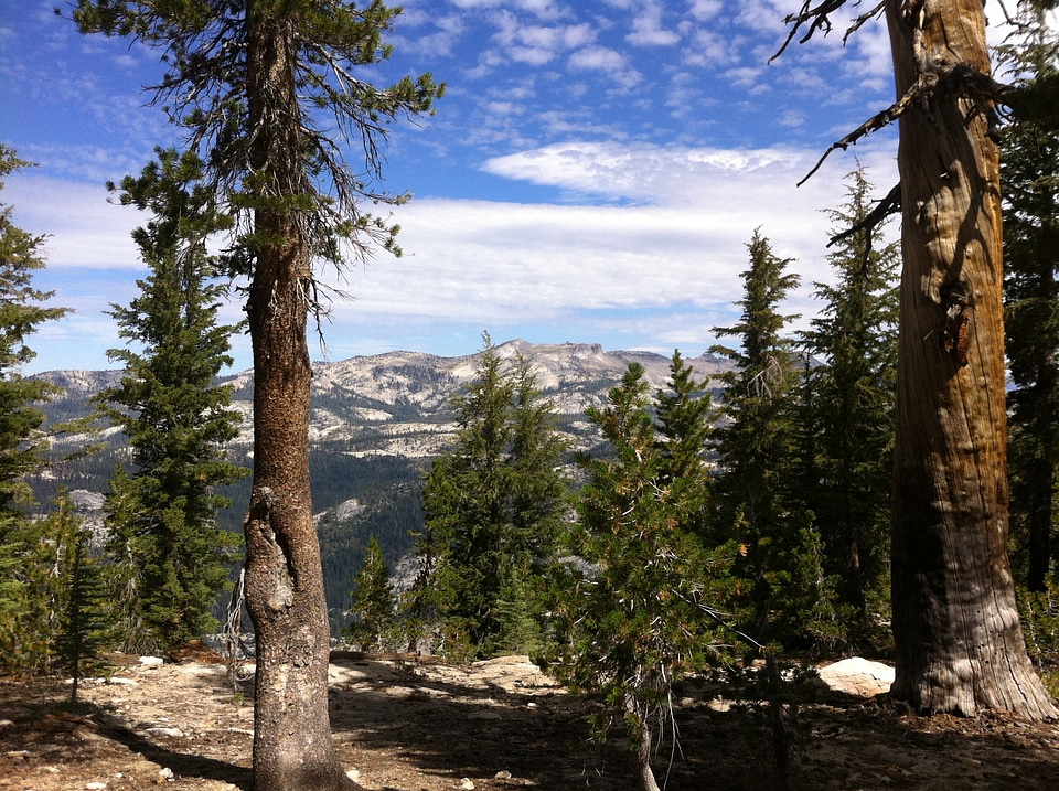 Yosemite Hiking and Backpacking Trips