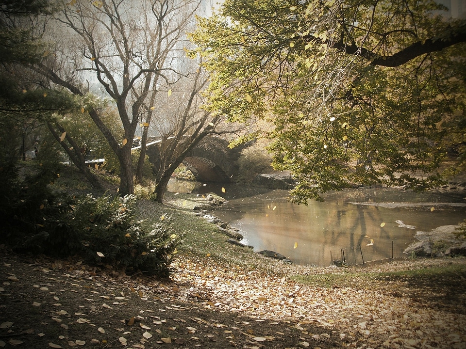 Bow Bridge in Autumn Central Park, New York