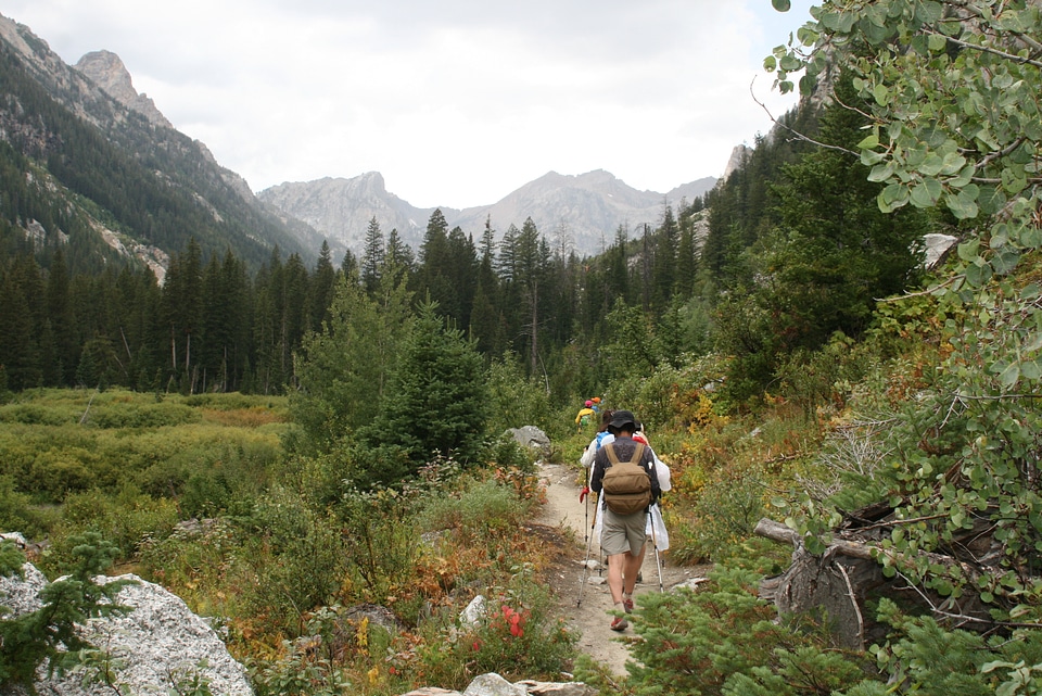 Grand Teton and Mt. Owen from Taggart Lake Trail