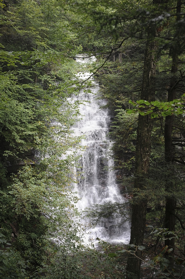 Waterfalls in Ricketts Glen State Park
