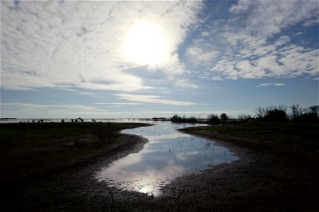 flooding