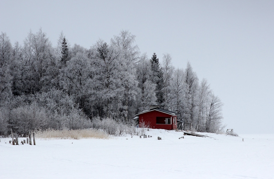 Tall snow covered trees surround a lake