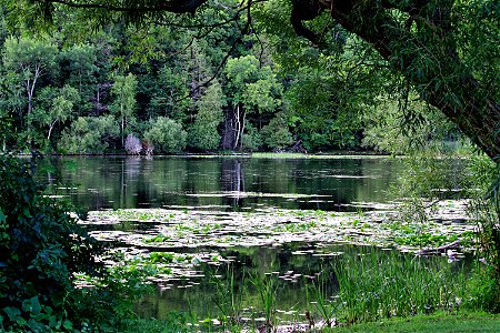 Black River, Prince Edward County