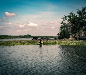 CowLake_0052