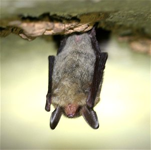 2021 Photo Contest_23