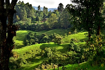 Paisaje en Quindío. Cordillera Central de Colombia. Camino Naciona. Vía a Toche y Cajamarca. photo