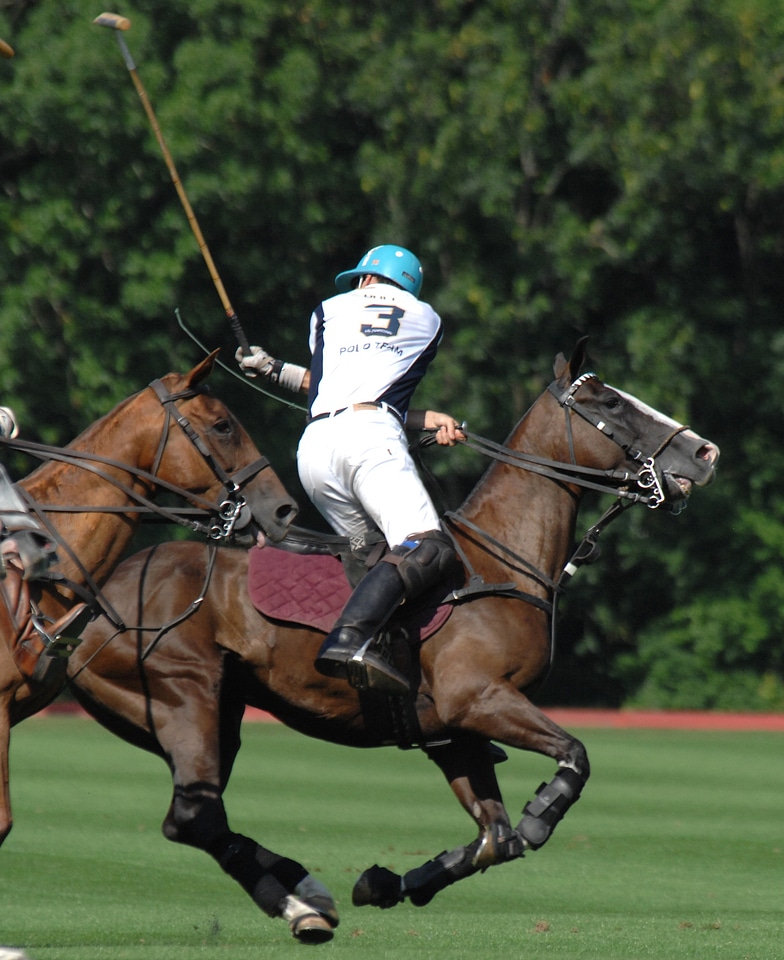 A Polo Player hits the Polo ball with a stick
